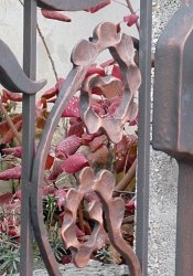 Kovaná brána a malá bránka