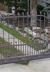 Kovaná brána a malá bránka