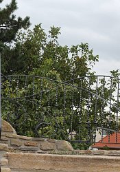 Kované vonkajšie zábradlie