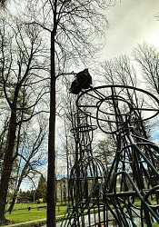 Kovové konštrukcie na zelené sochy.