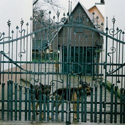Kovaný plot