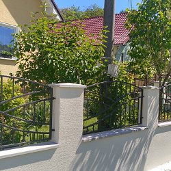 Kovaná brána s malou bránkou