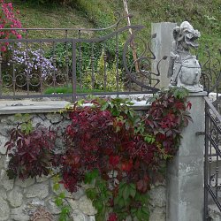 Kované zábradlie čínsky drak