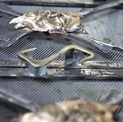 Kované dvierka na krb