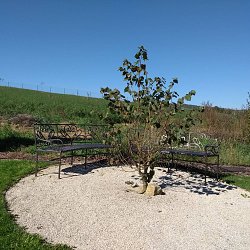 Kovaná okrúhla lavica