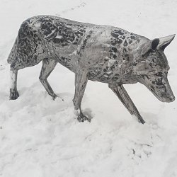 Vlk, oceľová plastika v životnej veľkosti.